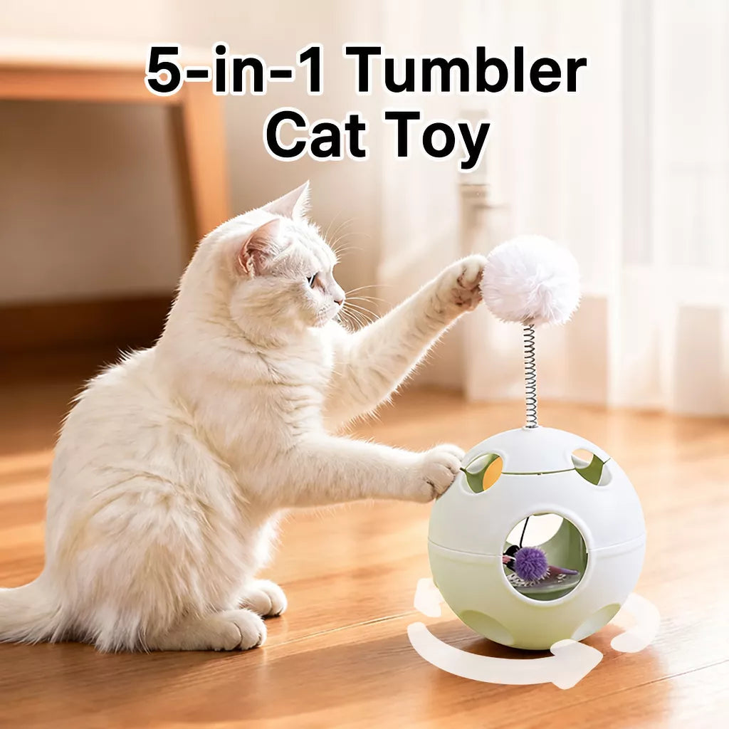 5-in-1 Planet Tumbler Cat Toy
