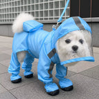 Small dog wearing a blue four-leg rain suit with clear hood