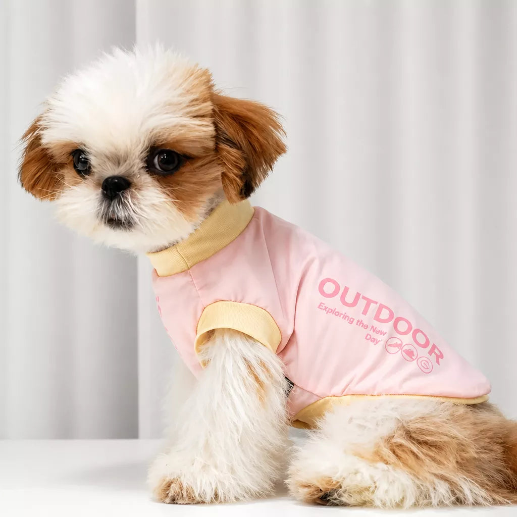 Small dog wearing a pink color-block tank top