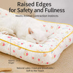 Removable Washable Pet Bed for Small Dogs