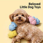 Plush Squeaky Dog Toy for Small Dogs