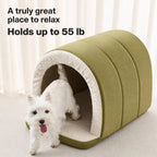 Dog at the entrance of arched pet bed