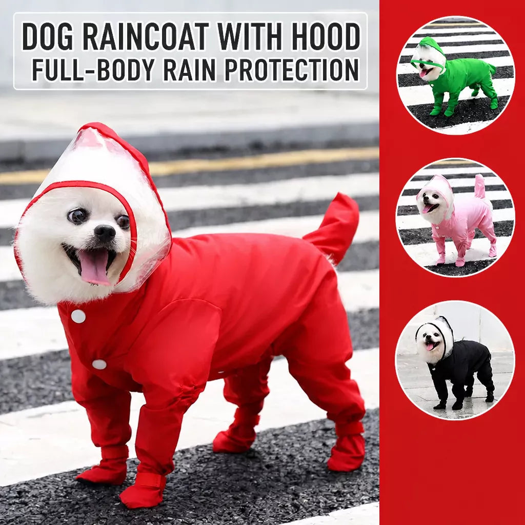 Four-Leg Dog Rain Suit with Clear Hood and Leash Access - product view