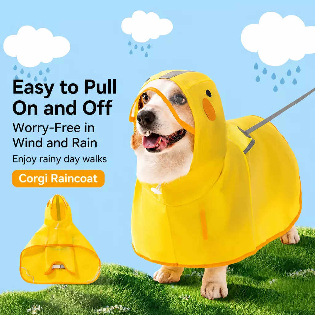 Hooded Dog Rain Poncho with Clear Brim and Belly Cover - product view