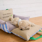Striped pet car bed opened flat for home use