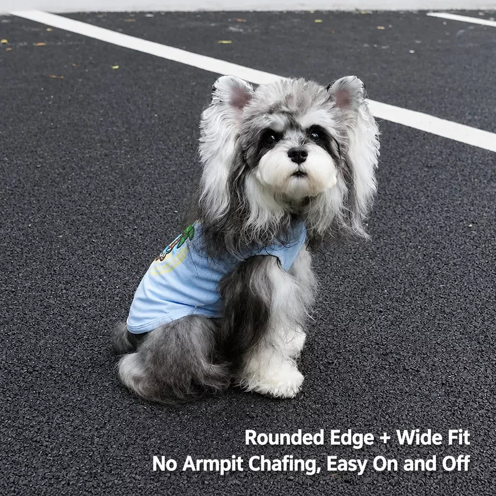 Small dog wearing the blue sleeveless summer-print tank