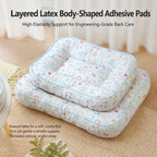 Removable Washable Pet Bed for Small Dogs