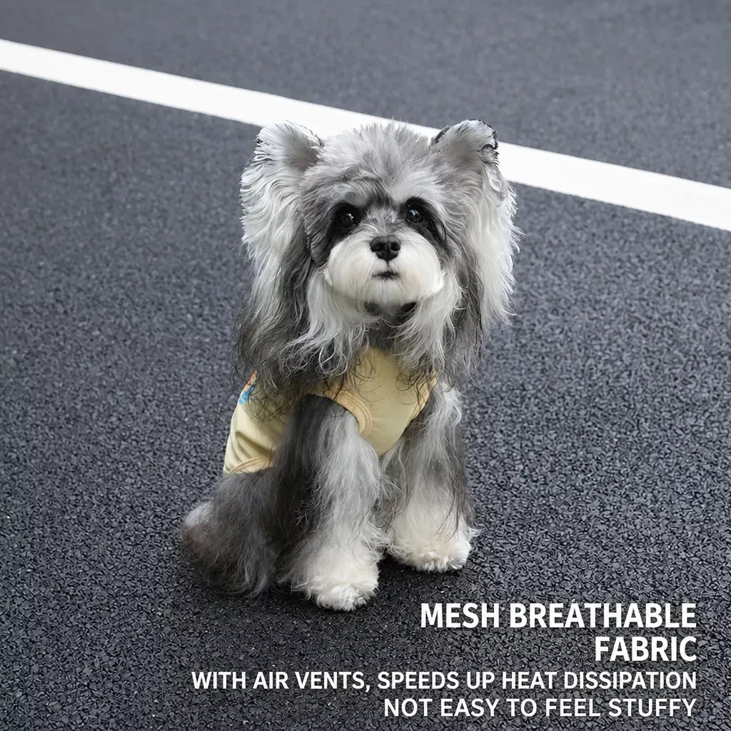 Fine mesh summer dog tank shown on a small dog