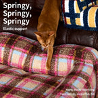 Pet sofa cushioned seat illustration