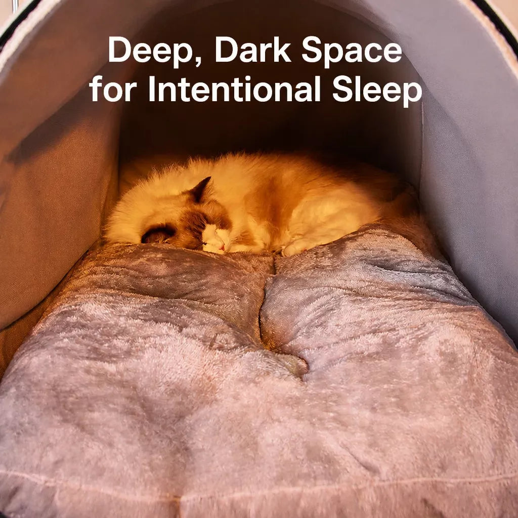 Enclosed Plush Pet House — design and construction details