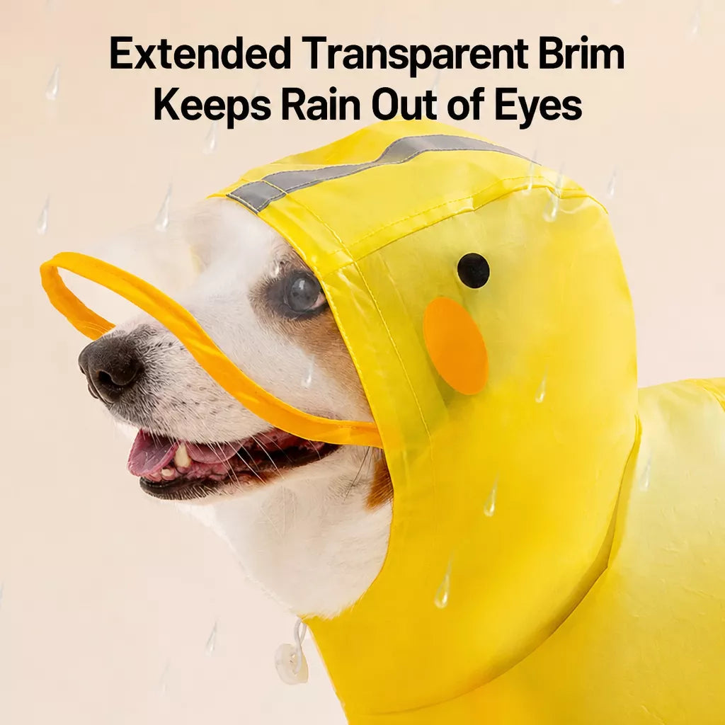 Transparent hood brim on the yellow dog raincoat