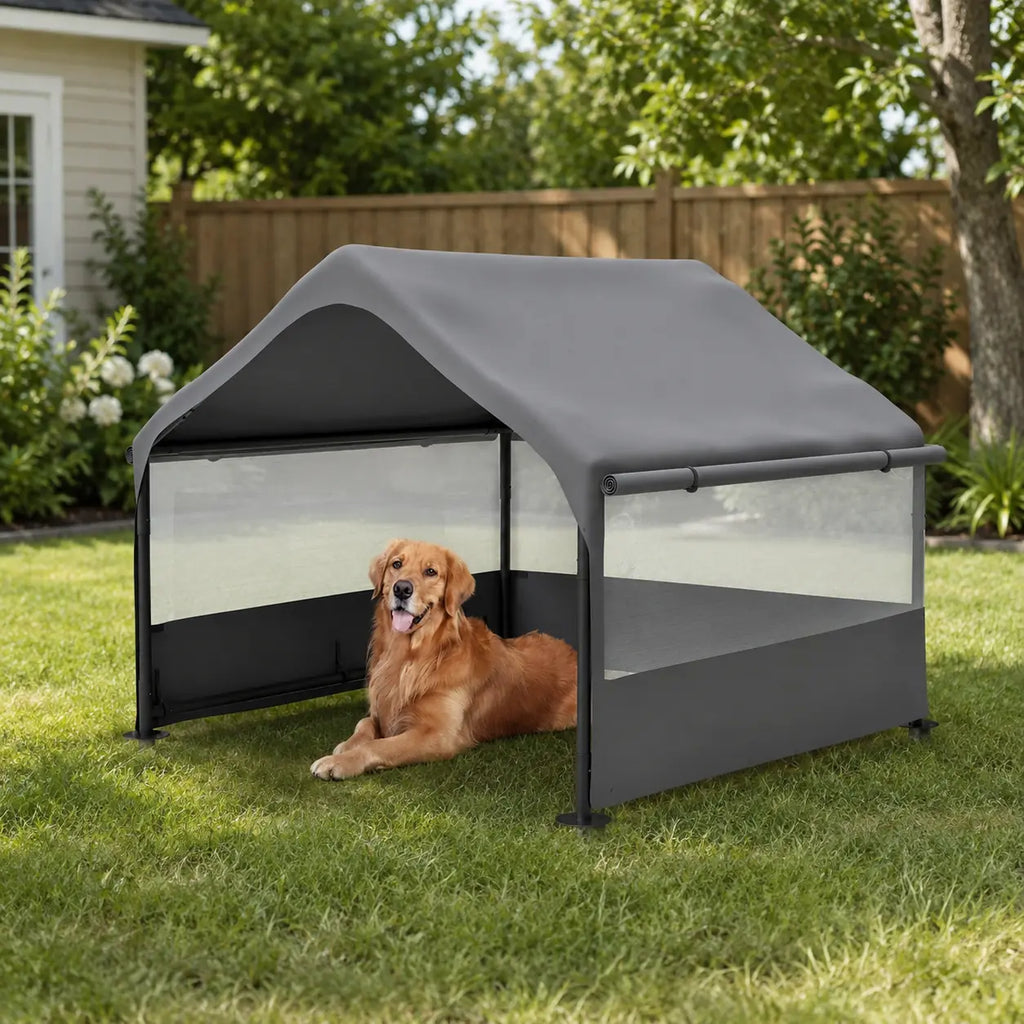 backyard lifestyle with dog — W1422P362931