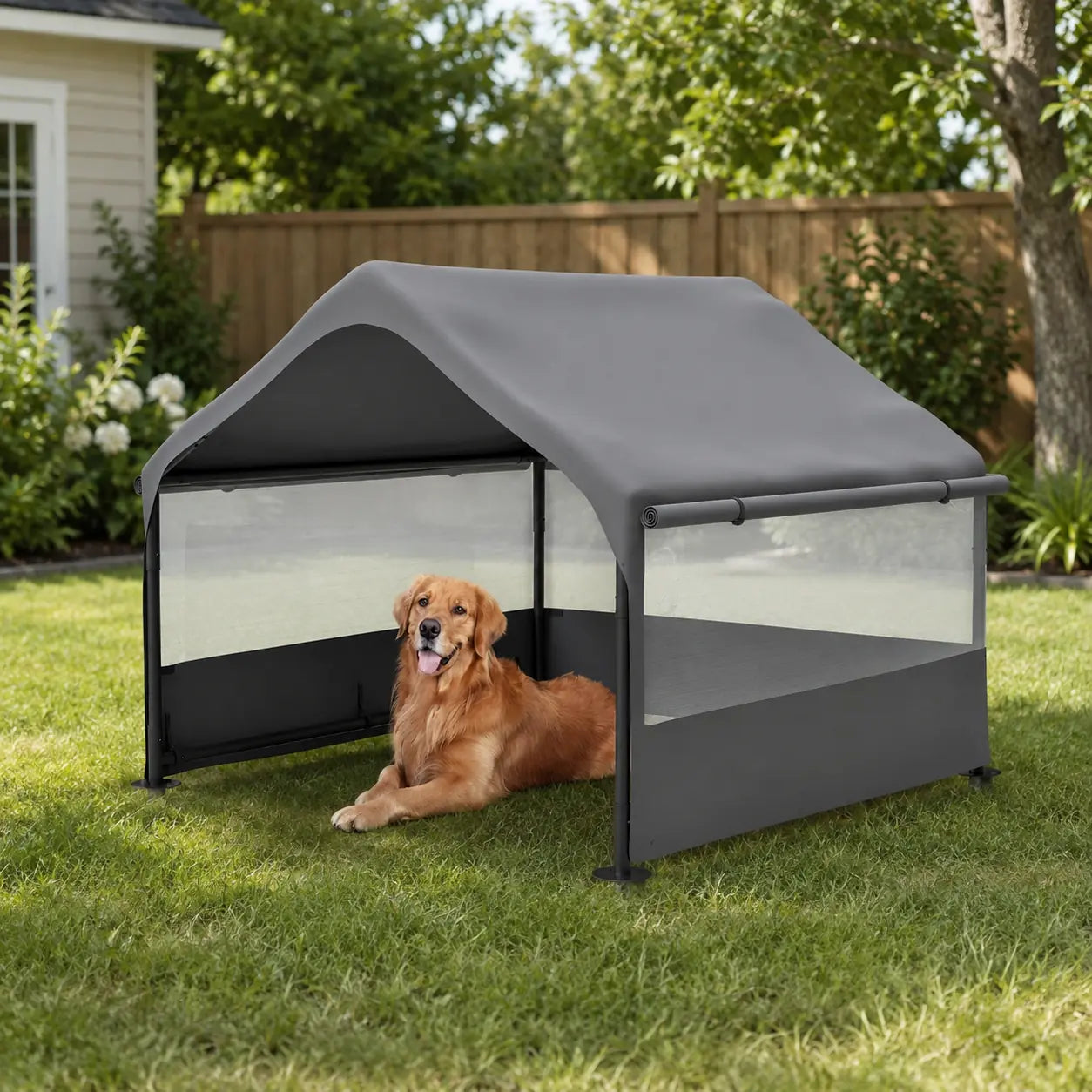 backyard lifestyle with dog — W1422P362931 Main image