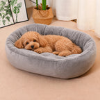 Apricot toy poodle resting inside the oval gray plush bolster bed