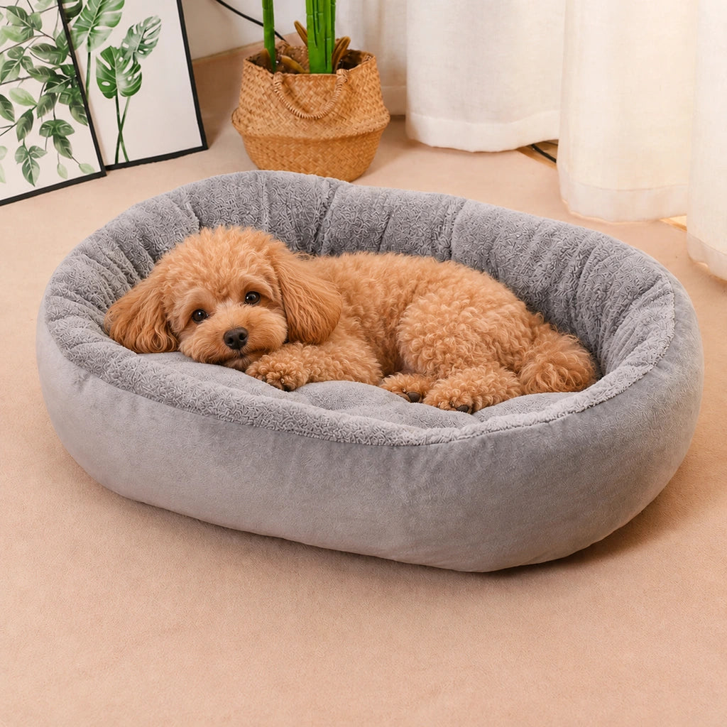 Apricot toy poodle resting inside the oval gray plush bolster bed