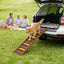PawHut Foldable Dog Car Ramp with 10 Steps — dog ramp beside a car