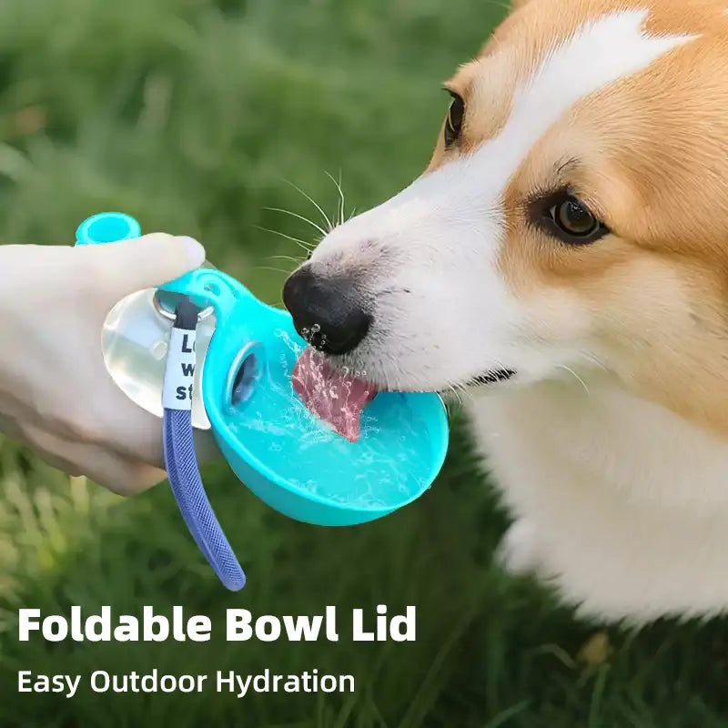 Collapsible Travel Pet Water Bowl with Strap feature detail 1