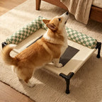 Foldable Elevated Mesh Pet Cot with Bolsters feature detail 5