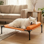 Elevated Pet Cot with Padded Bolsters feature detail 1