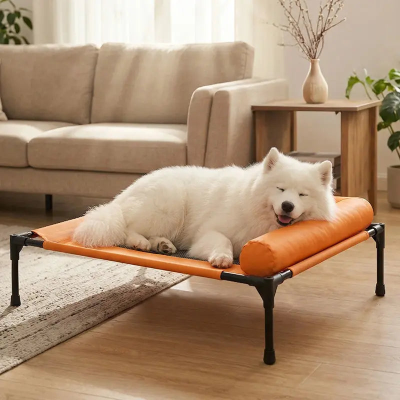 Elevated Pet Cot with Padded Bolsters feature detail 1