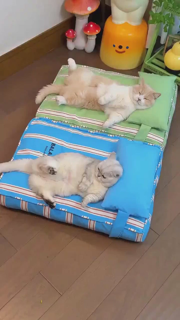 Washable Cooling Pet Mat with Removable Cushion pcmm-8581