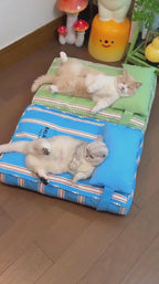 Washable Cooling Pet Mat with Removable Cushion pcmm-8581