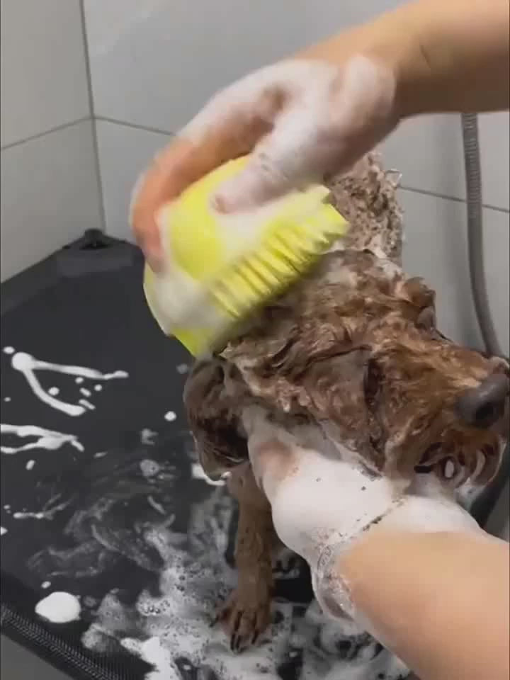 Silicone Pet Bathing Massage Shampoo Brush pmlcw-8598