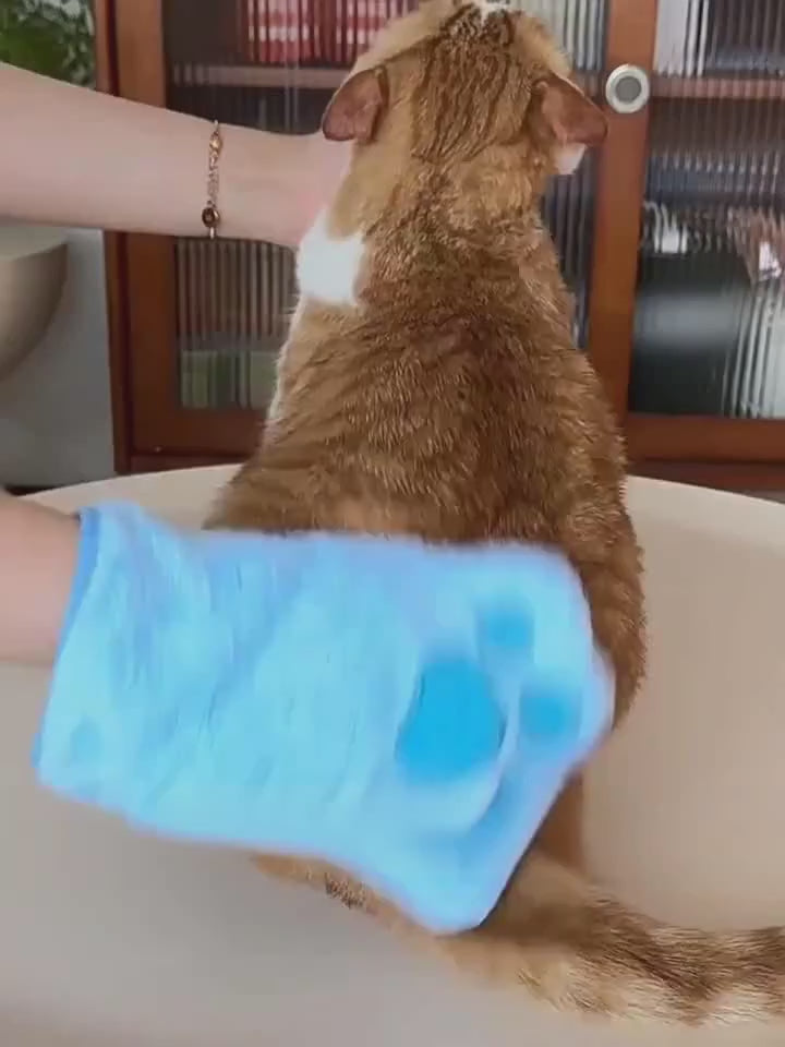 Quick Dry Microfiber Pet Grooming Mitts pmgdj-8586