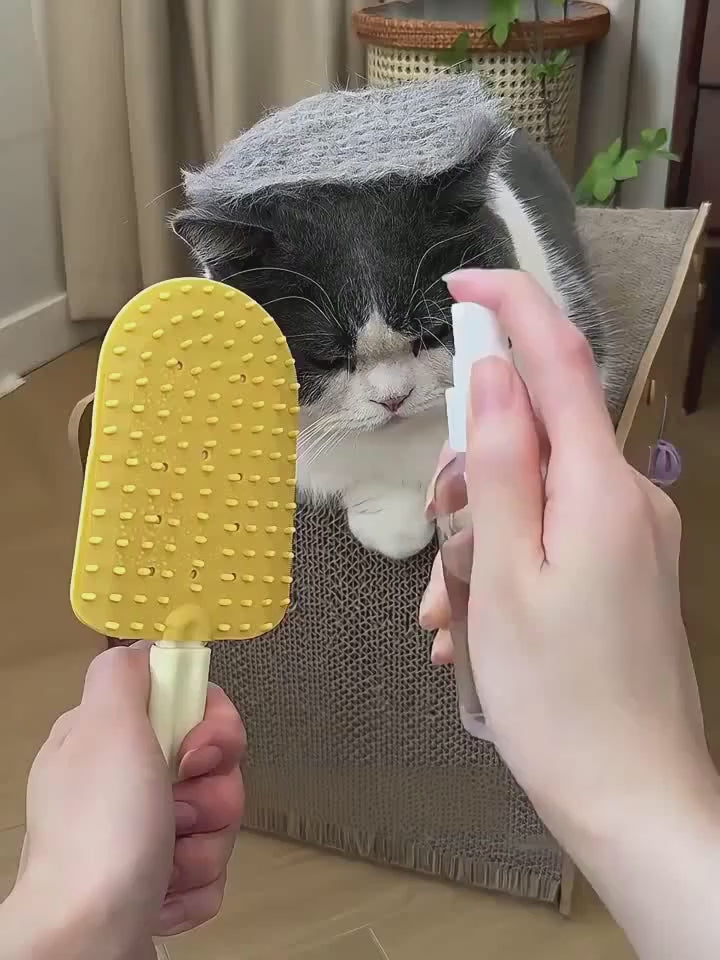 Dual Sided Pet Hair Remover Massage Brush psjm-8588