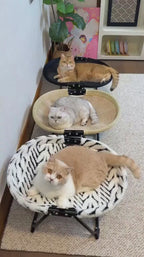 Foldable Elevated Cat Hammock Bed pdono-8583