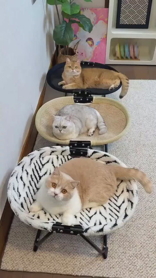 Foldable Elevated Cat Hammock Bed pdono-8583