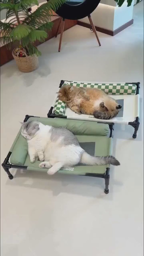 Elevated Pet Cot with Padded Bolsters pnzcws-8593