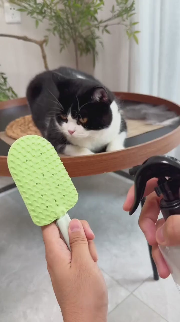 Dual Sided Pet Hair Remover Massage Brush psjm-8588