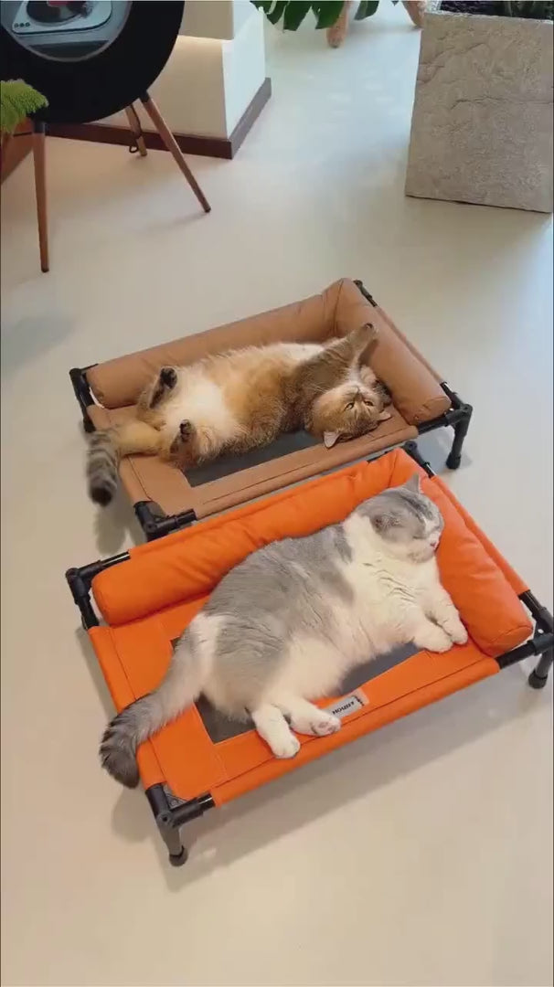 Foldable Elevated Mesh Pet Cot with Bolsters pmcbw-8580