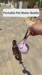 Collapsible Travel Pet Water Bowl with Strap pddwx-8600