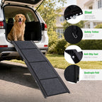 Dog ramp hinge and traction details