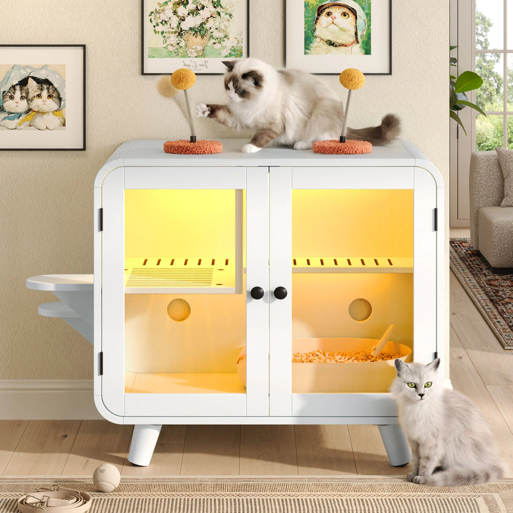 cat play surface — N704P419240K