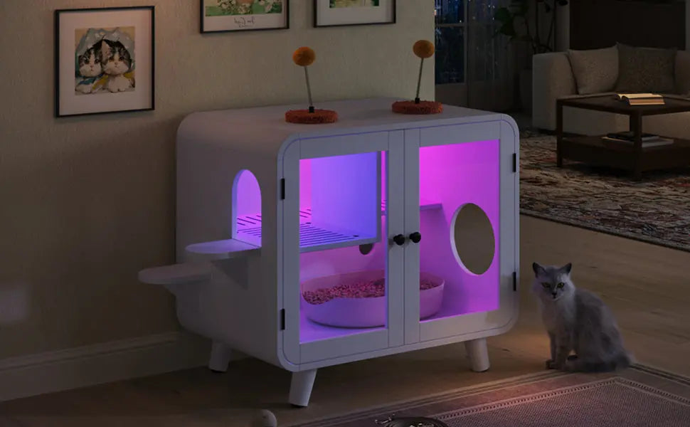 night room scene — N704P419240K