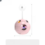5-in-1 Planet Tumbler Cat Toy