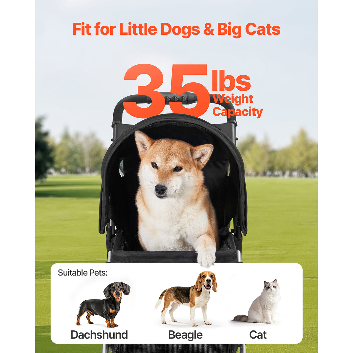 Illustrated 35 lb stroller load rating