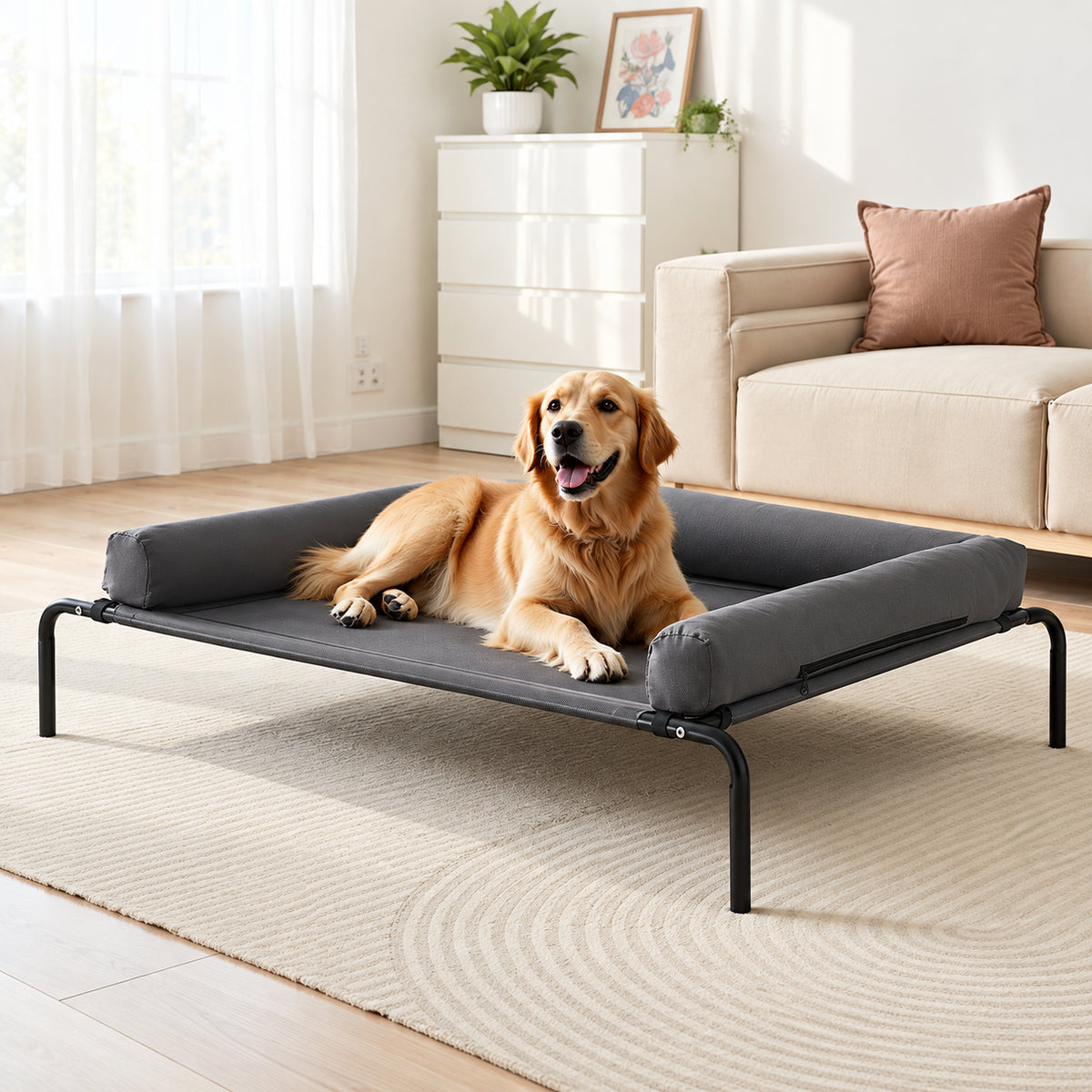 Gray XL elevated dog cot with U-shaped pillow and golden retriever in a living room