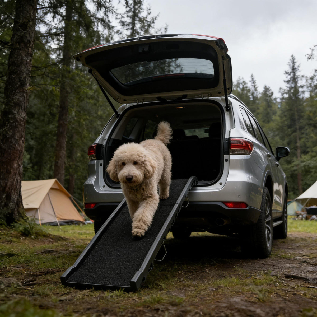 Black folding dog car ramp — ramp at vehicle entrance Main image