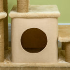 Condo entrance and jute-wrapped scratching posts