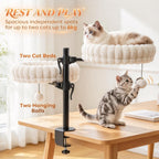 Dual Cat Desk Hammock with Clamp — two resting beds and hanging toys