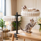 Dual Cat Desk Hammock with Clamp — cat resting by a window