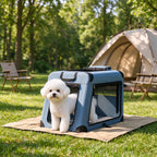 Small dog beside a blue pet carrier