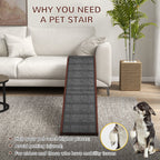 Pet using carpeted wooden ramp beside sofa