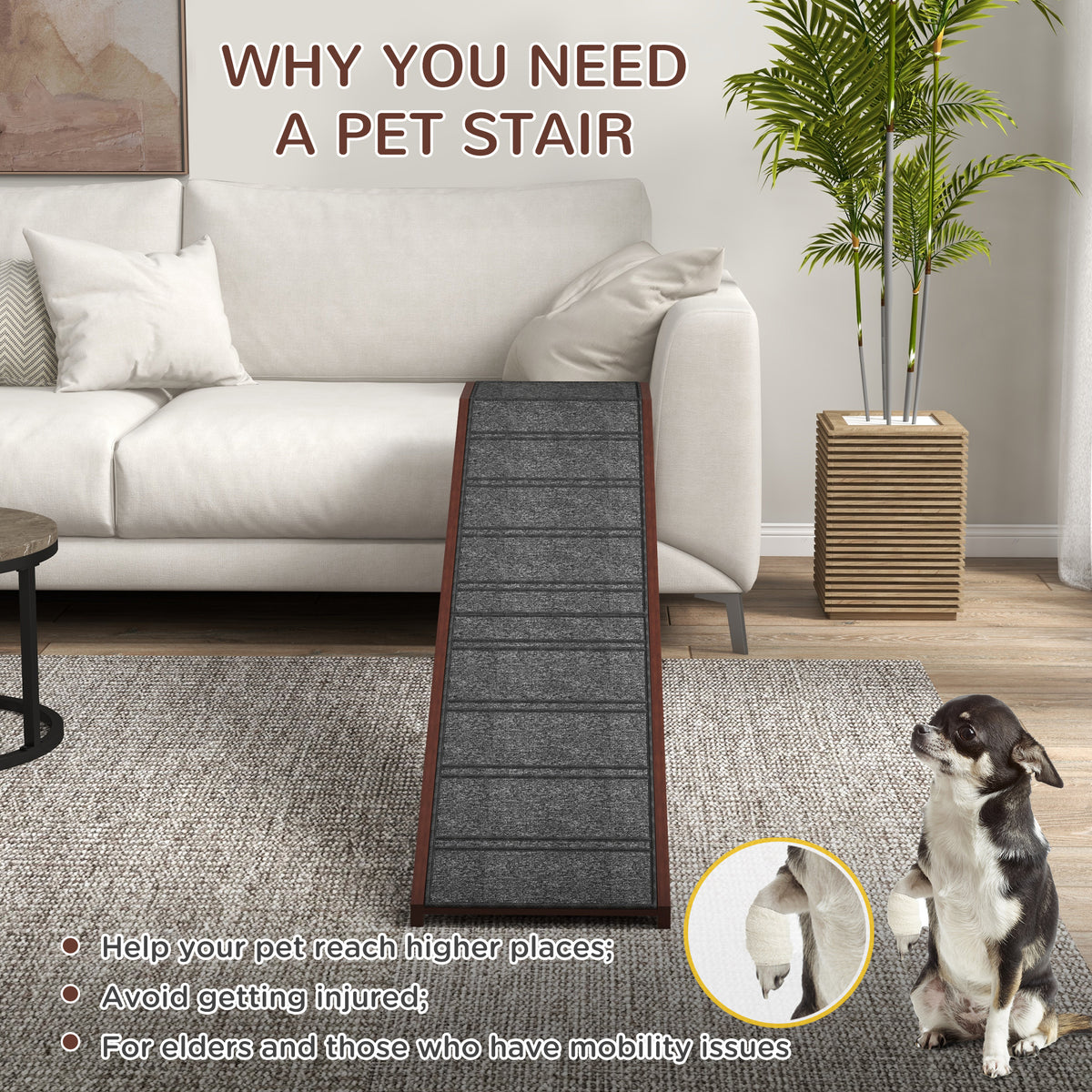 Pet using carpeted wooden ramp beside sofa