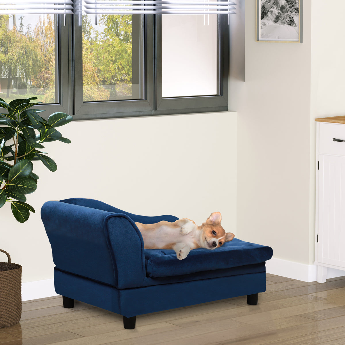 Blue pet sofa in bright living room