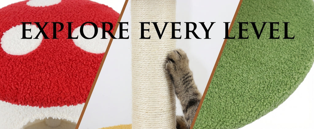 Plush colors and scratching surface details